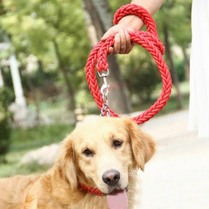 KuyaBruno  | 3.5ft Braided Leash