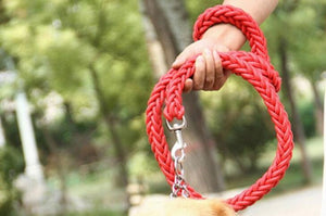 KuyaBruno  | 3.5ft Braided Leash