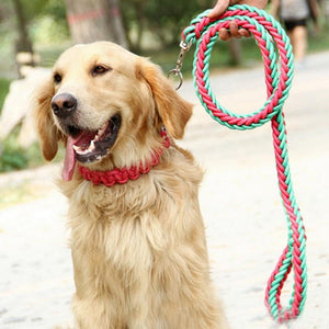 KuyaBruno  | 3.5ft Braided Leash