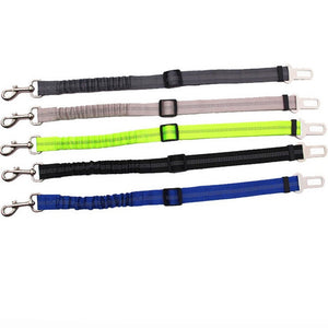 Vehicle Pet Safety Belt