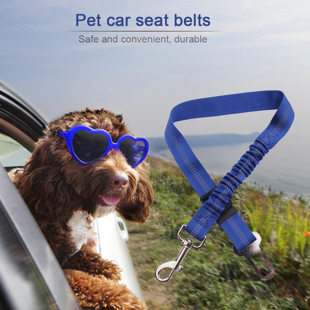 Vehicle Pet Safety Belt