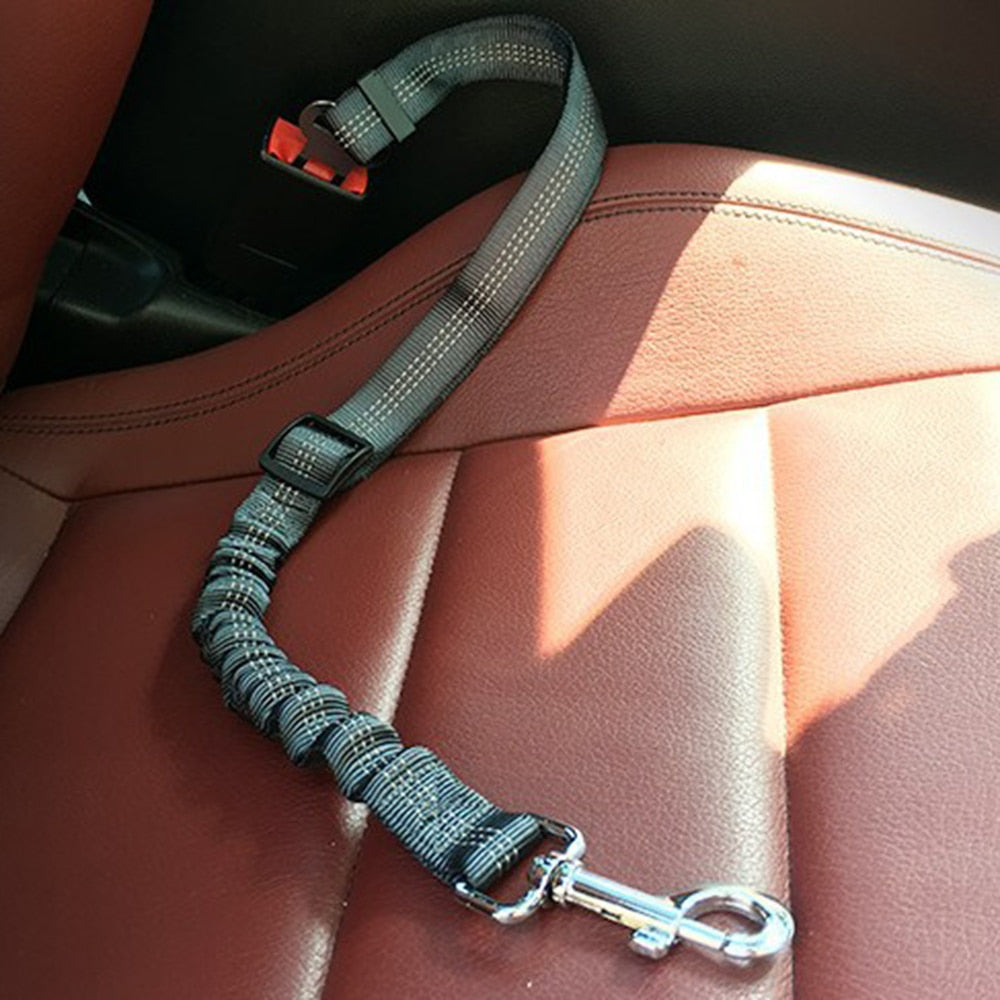 Vehicle Pet Safety Belt