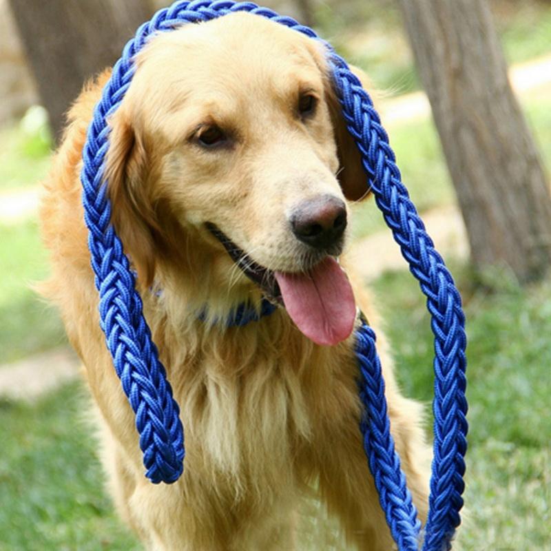 KuyaBruno  | 3.5ft Braided Leash