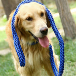 Load image into Gallery viewer, KuyaBruno  | 3.5ft Braided Leash
