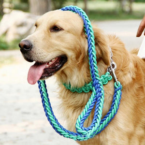 KuyaBruno  | 3.5ft Braided Leash